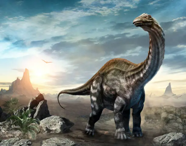 Apatosaurus