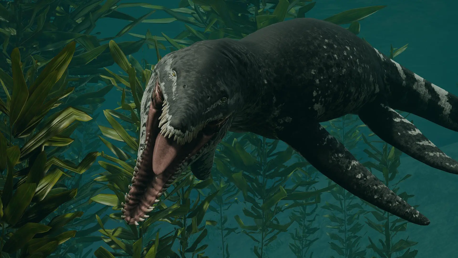 Sachicasaurus