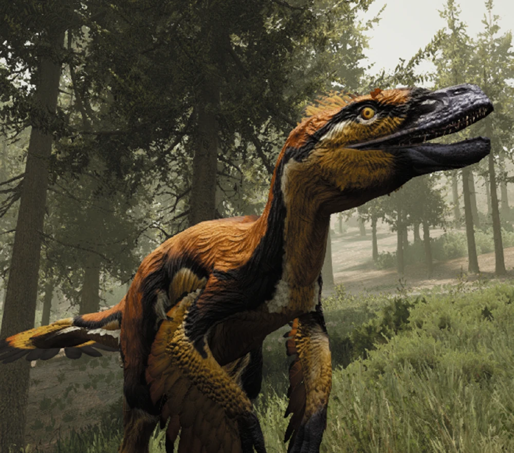 Velociraptor