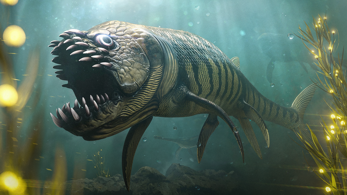 Xiphactinus